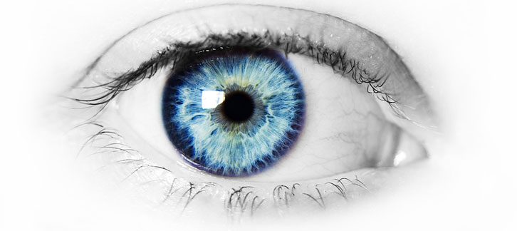 عملکرد چشم در طی فرایند بینایی