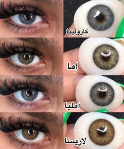 مشاهده کاتالوگ ایفوریا