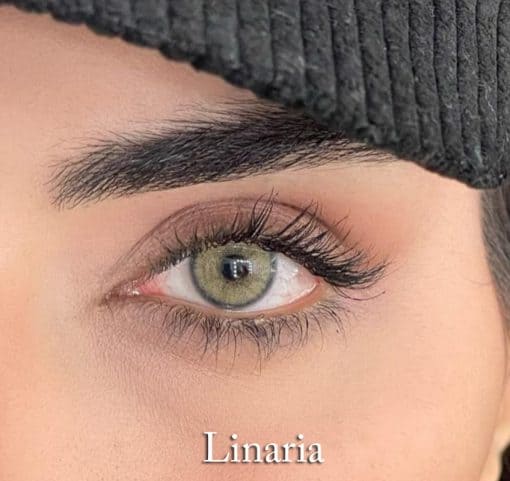 خرید لنز سالانه یونیک لیناریا
