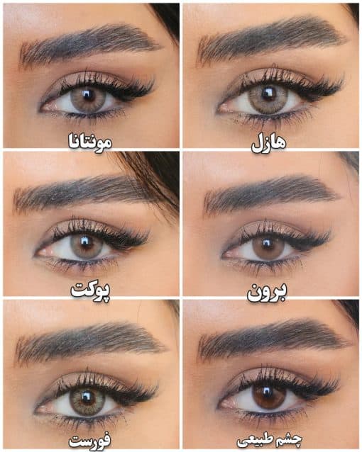 خرید کاتالوگ رنگ ایفوریا
