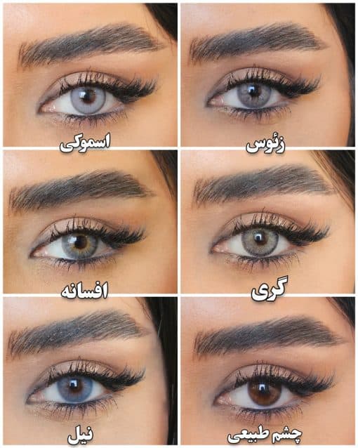 خرید کاتالوگ لنز ایفوریا